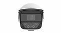 Камера PKC2641-Z100-IR-P