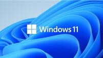 Продукция IEI поддерживает Windows 11